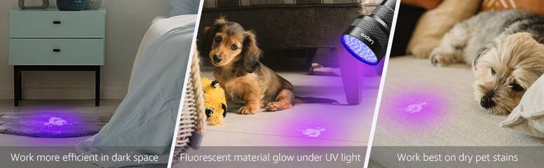 Lepro Black Light Flashlights, 51 LED UV Handheld Blacklight 395nm, Black  Light for Pet Urine Detection for Dog/Cat Urine