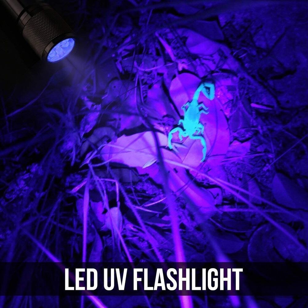 Le Small UV Blacklight Flashlight Portable Black Light With 9 LEDs 395nm Ultr for sale online 
