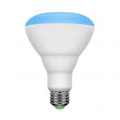 BR30 E26 Warm White Bluetooth Bulbs, dimmable，Various Modes