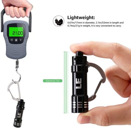 LE 5 Pack Mini LED Keychain Flashlight Small Torch Light Emergency Battery 
