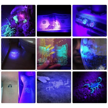 LE Black Light Flashlight, Small UV Lights with 21 LEDs, 395nm, Ultraviolet  Light Detector for Invisible Ink Pens, Pet Dog Cat Urine Stain and More