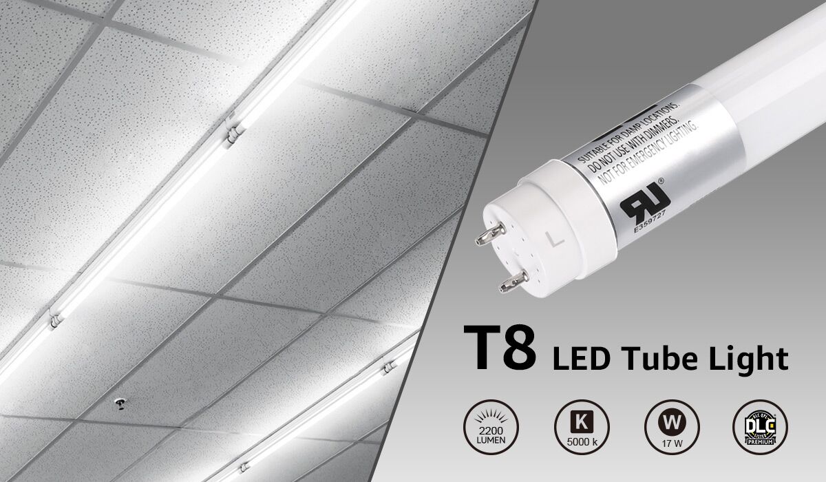T8 Type B 4ft LED Tube Lights